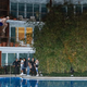 Image for article titled Sanders Impresses Florida Voters By Jumping From Hotel Balcony Into Pool